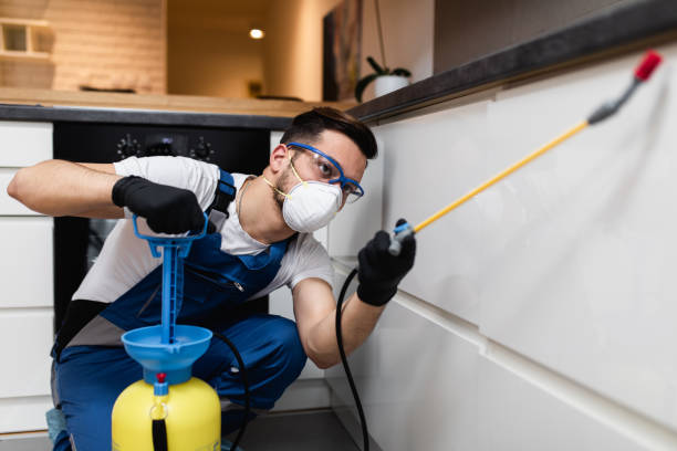 Best Rat Extermination Near Me  in Madison, NC