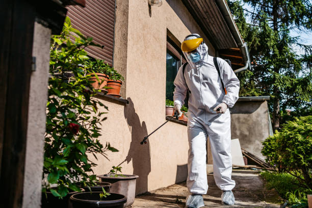 Best Rat Extermination Near Me  in Madison, NC