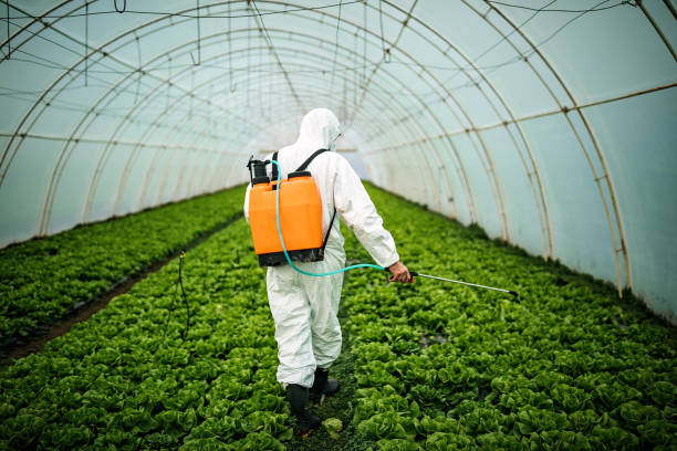 Best Commercial Pest Control Services  in Madison, NC