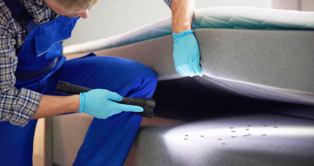 Best Ant Control Services  in Madison, NC