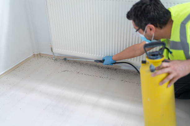 Best Termite Control Services  in Madison, NC