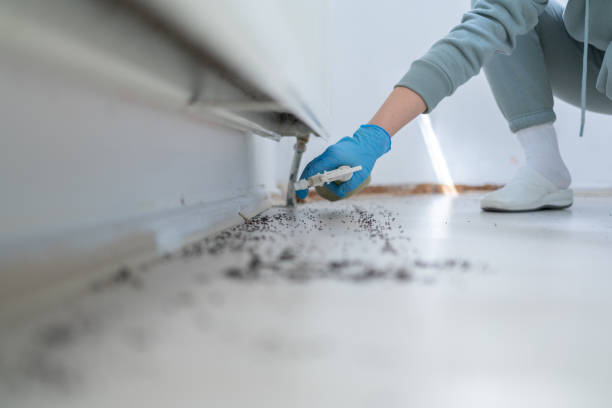 Best Cockroach Control Services  in Madison, NC